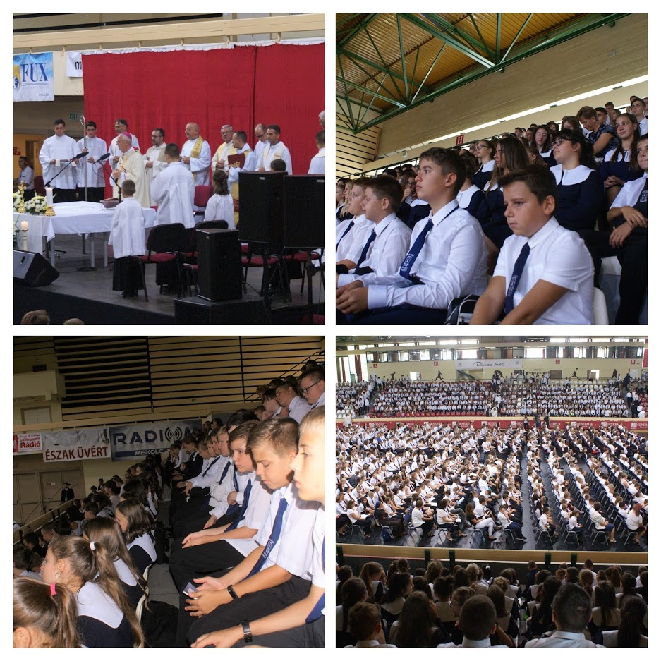 DSC04419 COLLAGE