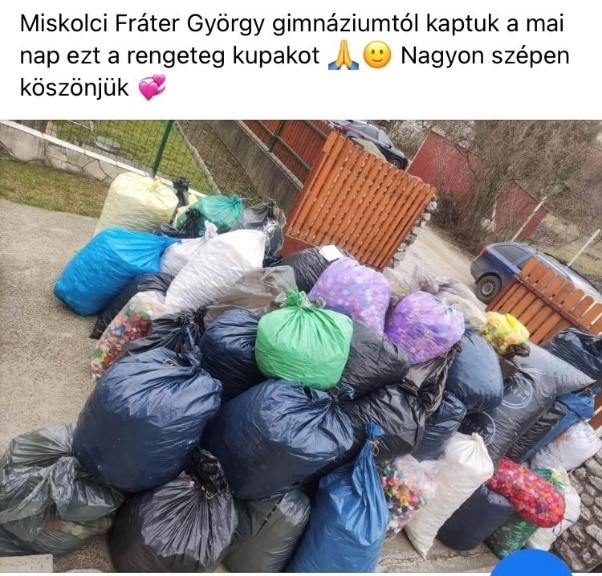 zsofia 2