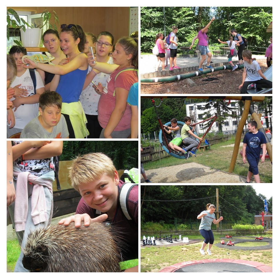 IMG 2083 COLLAGE
